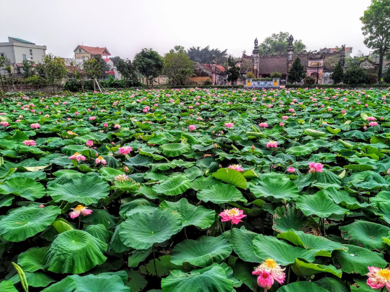 Khám phá Khu du lịch sinh thái Hồng Vân cùng Khách sạn Hùng Vương