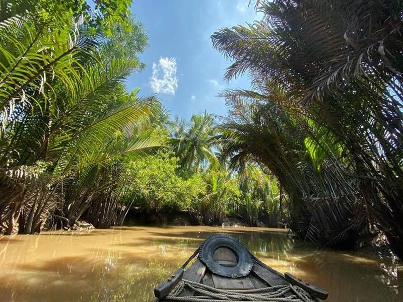 Trải nghiệm độc đáo tại Cồn Phú Đa – Viên ngọc xanh giữa lòng Bến Tre