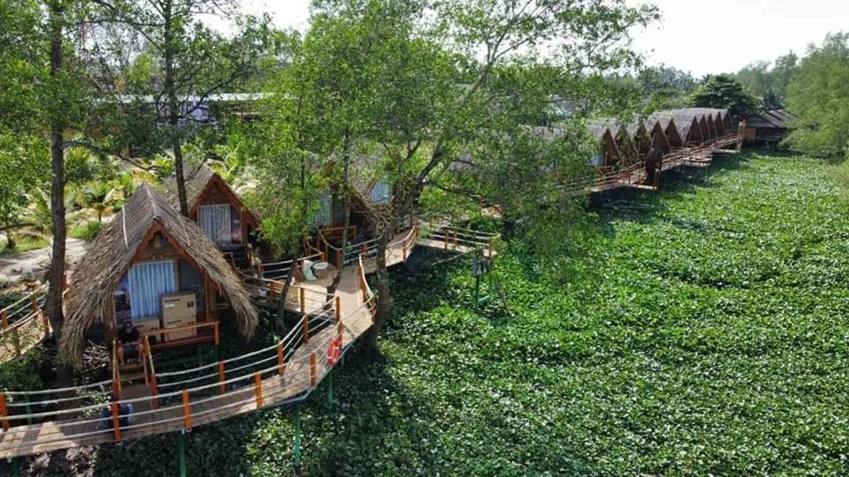 Coco Island Cồn Phụng, Bến Tre (giá cập nhật 2025)